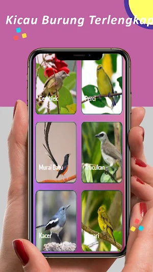 Kicau Burung Lengkap Offline Screenshot 2