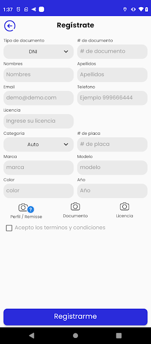 Remisse Pro Screenshot 2