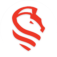 Knight Auto Care