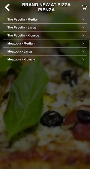 Pizza Pienza Screenshot 2