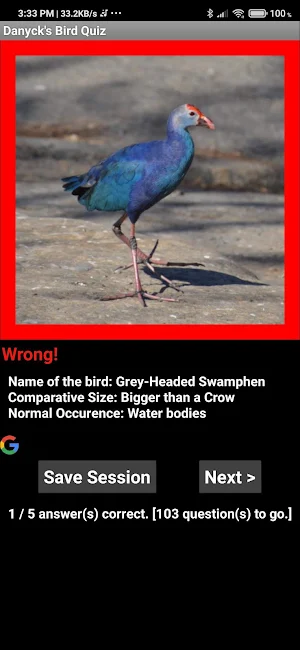Bird Quiz by Danyck Screenshot 1