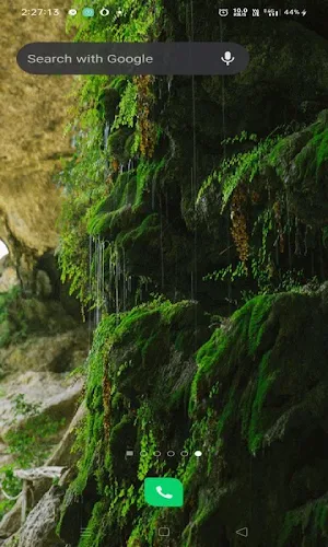 Rainy Plants Live Wallpaper Screenshot 1