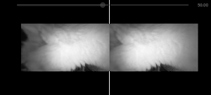 VR Camera Viewer Screenshot 3