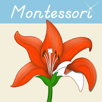 Montessori Botany - Parts of P