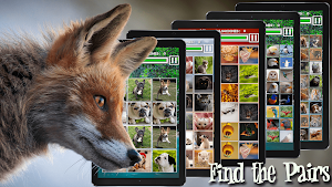 Memory Match - Jungle Animals Screenshot 1