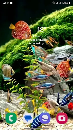 3D Fish Tank Live Wallpaper Screenshot 2