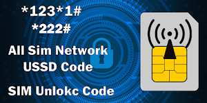 All Sim Network Code Screenshot 2