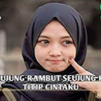 DJ Seujung Rambut Seujung Kuku