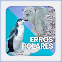 Erros polares