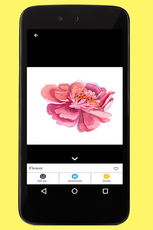 Flower Images Screenshot 1