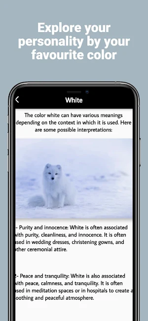 colors and their meanings Screenshot 1