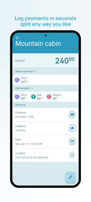 Debtster Screenshot 1