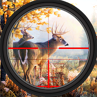 Wild Deer Hunting Animal Hunt