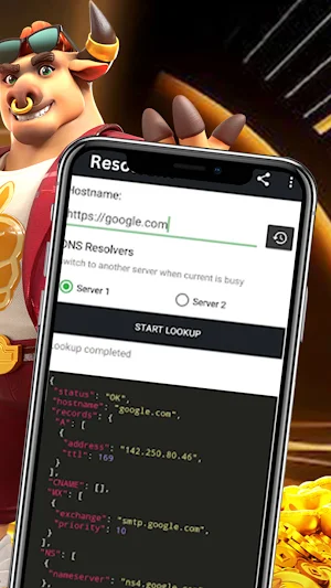 ResolverX Screenshot 1