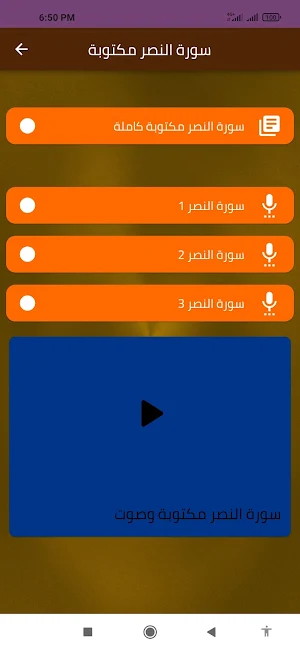 سورة النصر مكتوبة Screenshot 2