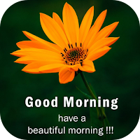 good morning flower images