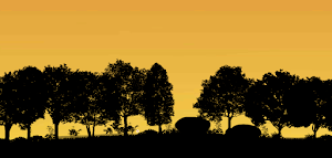 Fionas Sunset-Road To The Home Screenshot 2