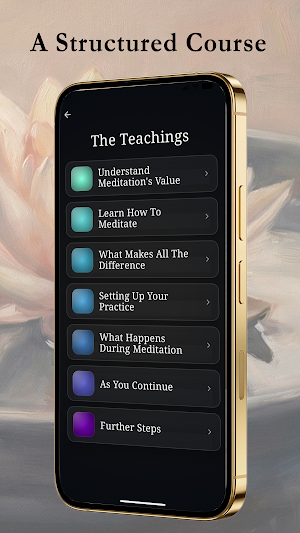 Stop The Mind:Begin Meditating Screenshot 3
