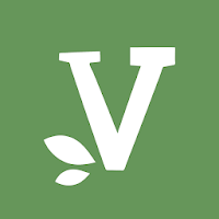 Verde Salvia Gastronomia
