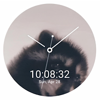 Pedro Raccoon Watch Face