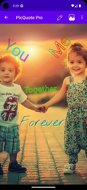 PicQuote Pro Screenshot 1