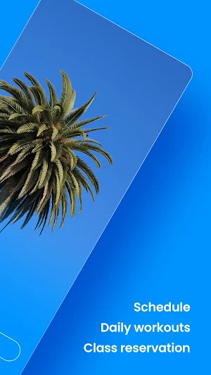 Paradiso CrossFit Screenshot 1