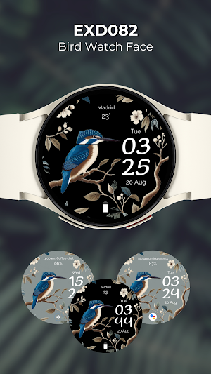 EXD082: Bird Watch Face Screenshot 0
