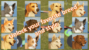 Dog Agility Game: Build & Race Screenshot 3