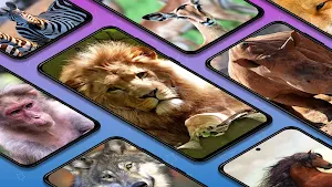 Wild animal wallpapers 4K Screenshot 0