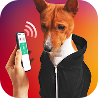 Dog Translator Simulator
