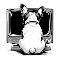 Wow Wee TV