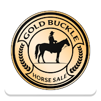 Gold Buckle Horse Sale