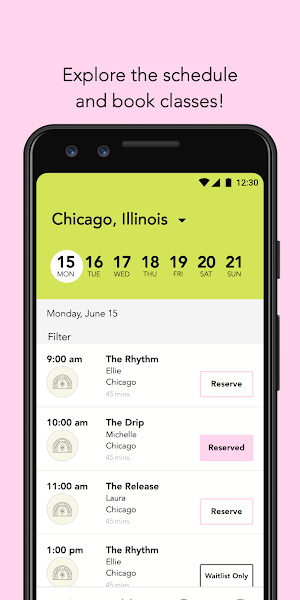 Common Language Studio Screenshot 2