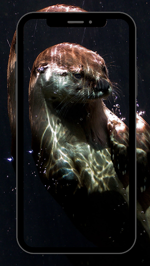Otter UHD Wallpapers Screenshot 3