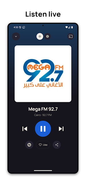 Egypt Radio FM Online Screenshot 1