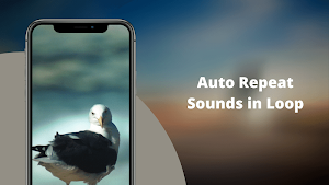 Seagulls Sounds Screenshot 3