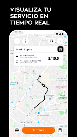Palermo Transportes Conductor Screenshot 2