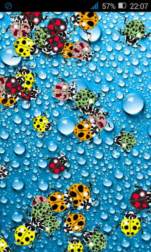 LadyBugs on water Screenshot 0