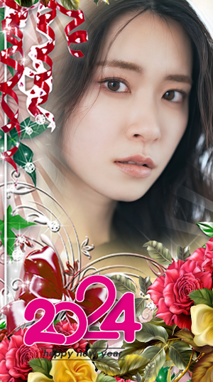 Happy New Year Frame Nouvel An Screenshot 2
