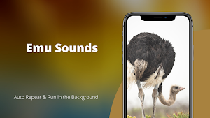 Ostrich and Emu Sounds Screenshot 1