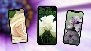 Flowers Wallpapers Screenshot 1