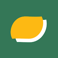 dengi.ru — money transfers