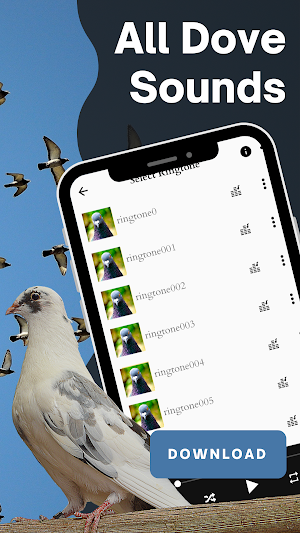 All dove sounds screenshot 1