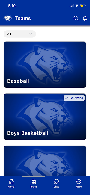 Brookhaven Academy Cougars Screenshot 1