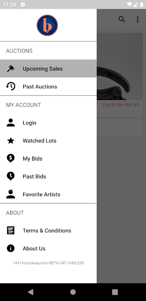 Brooks Auction Screenshot 3