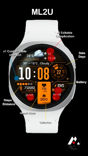 ML2U 134b Digital Hybrid Screenshot 1