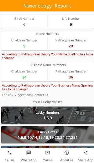 Business Numerology Calculator Screenshot 0