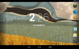 Botswana Flag Screenshot 3