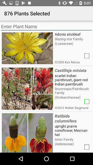 New Mexico Wildflowers Screenshot 2