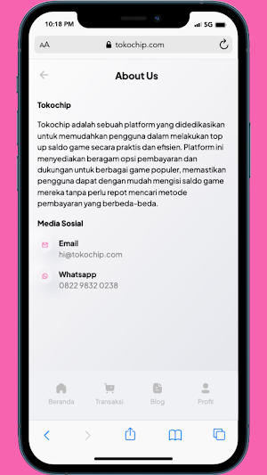 Tokochip Screenshot 3